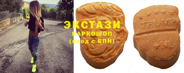 ECSTASY Инсар