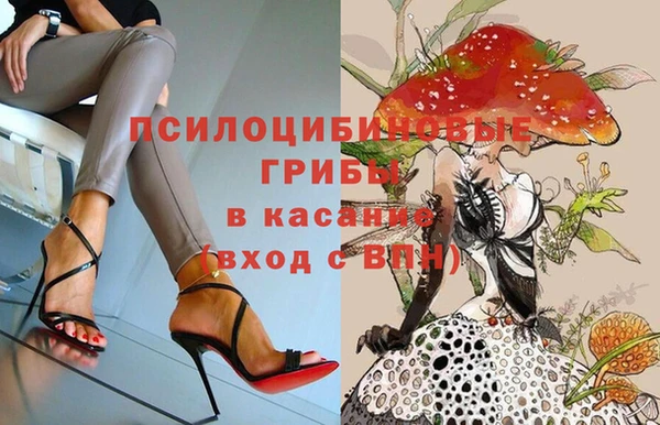 герыч Зеленокумск